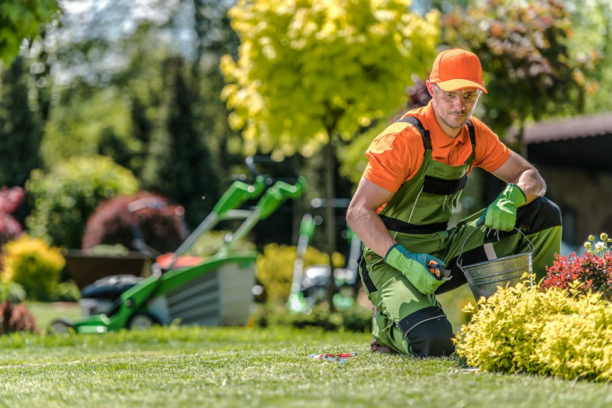 Google Ads for Landscapers